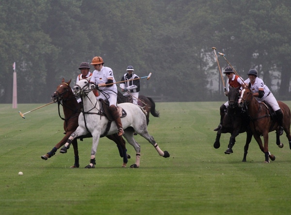 Polo_Art   083.jpg